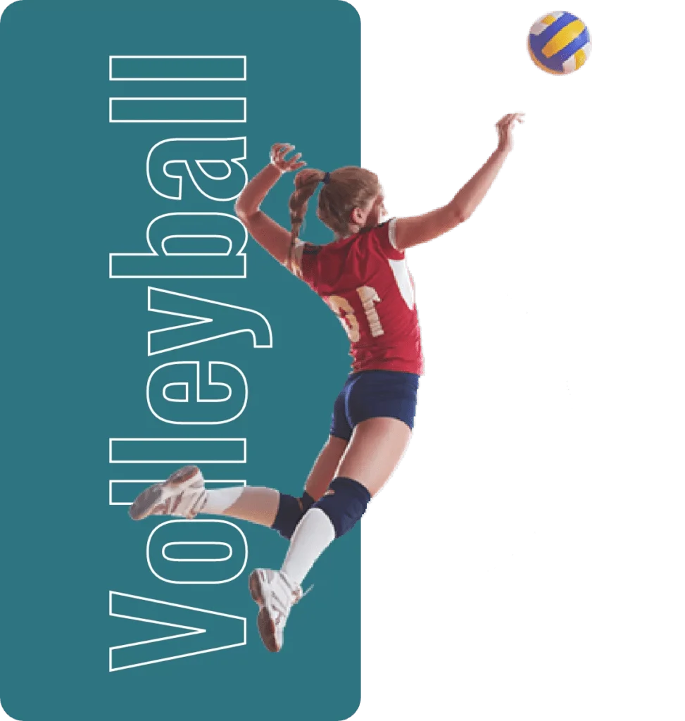 volleyball